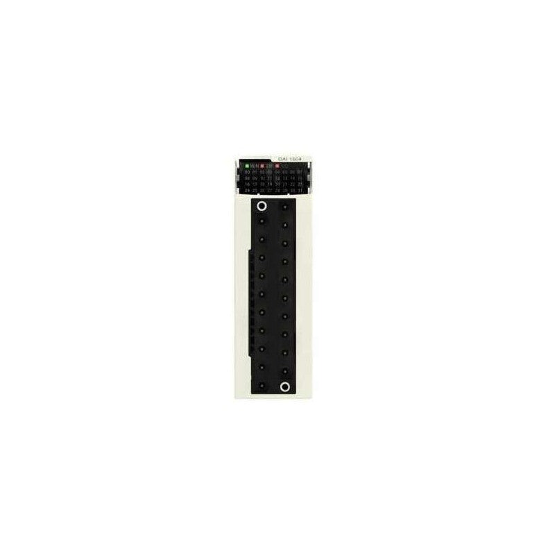 Schneider Electric 1604 | PLC & DCS Module