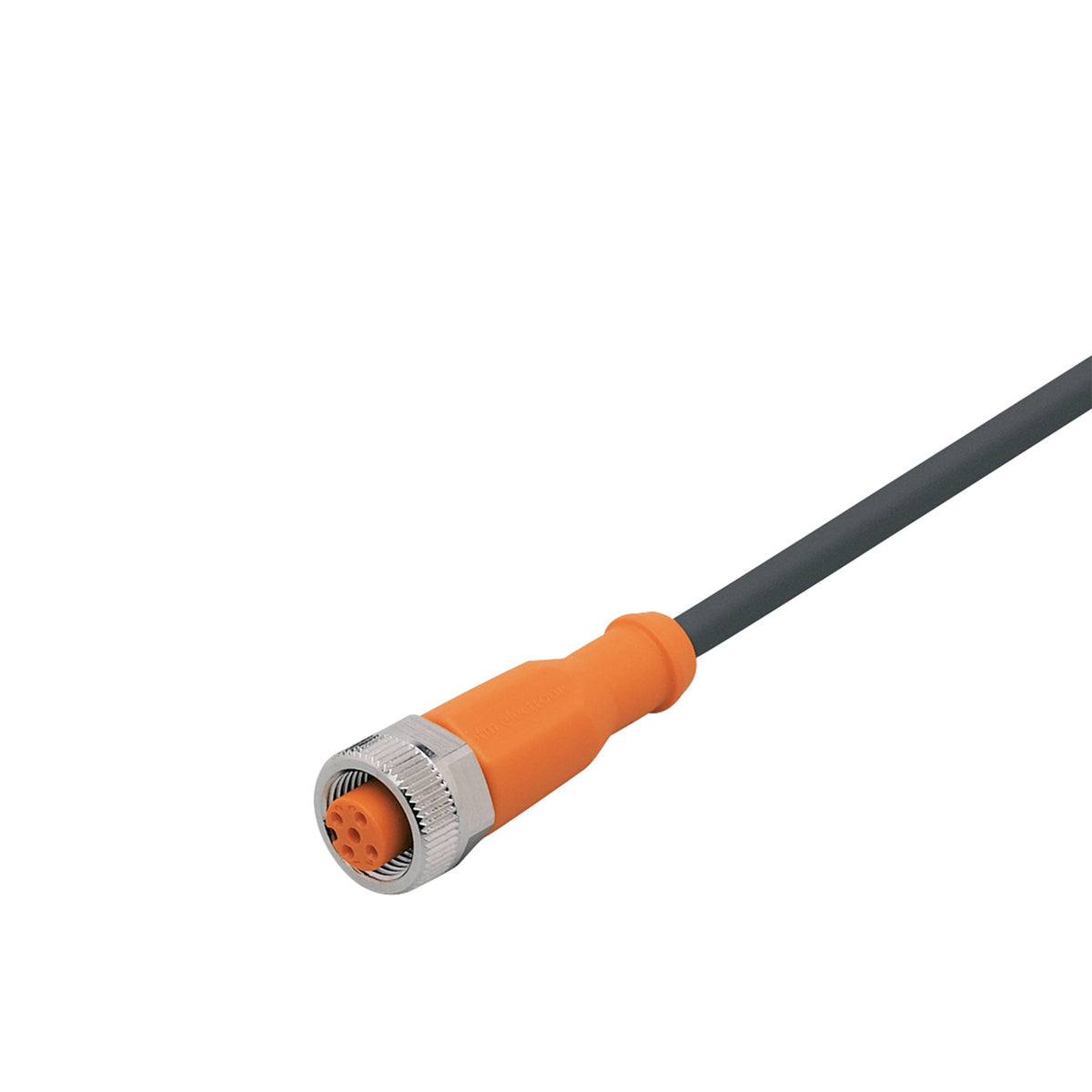 IFM EVC591