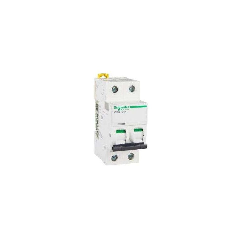 Schneider Electric IC65N-2P-C6A | Variable Frequency Drive