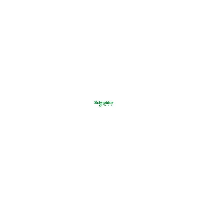 Schneider Electric RUGGEDIZED | Industrial Automation Component